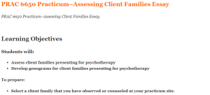 PRAC 6650 Practicum–Assessing Client Families Essay