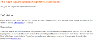 PSY 3520 W2 Assignment Cognitive Development