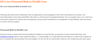 HCA 610 Financial Risk in Health Care