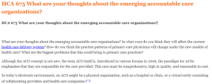 HCA 675 What are your thoughts about the emerging accountable care organizations