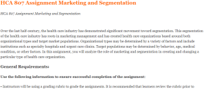 HCA 807 Assignment Marketing and Segmentation