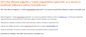 HCA 822 Sheard suggests a “whole organisation approach” as a means to positively influence culture in health care