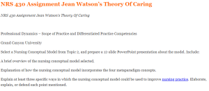 NRS 430 Assignment Jean Watson’s Theory Of Caring