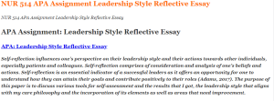 NUR 514 APA Assignment Leadership Style Reflective Essay
