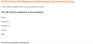 NURA 6063 Workplace Environment Assessment Essay