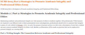NURS 6003 Part 2 Strategies to Promote Academic Integrity and Professional Ethics Essay