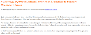 NURS 6053 DQ Organizational Policies and Practices to Support Healthcare Issues