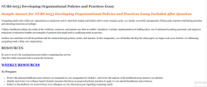 NURS 6053 Developing Organizational Policies and Practices Essay