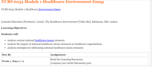 NURS 6053 Module 1 Healthcare Environment Essay