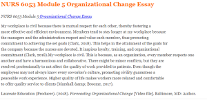 NURS 6053 Module 5 Organizational Change Essay
