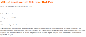 NURS 6512 A 42-year-old Male Lower Back Pain