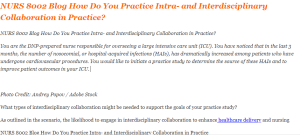 NURS 8002 Blog How Do You Practice Intra- and Interdisciplinary Collaboration in Practice