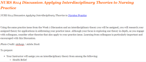 NURS 8114 Discussion Applying Interdisciplinary Theories to Nursing Practice