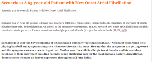Scenario 2 A 65-year-old Patient with New Onset Atrial Fibrillation