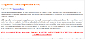 Assignment  Adult Depression Essay