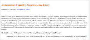 Assignment Cognitive Neuroscience Essay