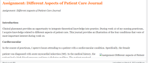 Assignment  Different Aspects of Patient Care Journal