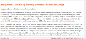 Assignment Doctor of Nursing Practice Prospectus Essay