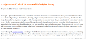 Assignment Ethical Values and Principles Essay
