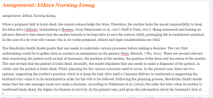 Assignment Ethics Nursing Essay