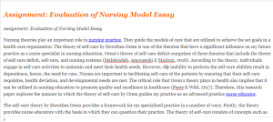 Assignment Evaluation of Nursing Model Essay