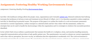 Assignment  Fostering Healthy Working Environments Essay