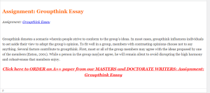 Assignment  Groupthink Essay