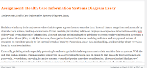 Assignment  Health Care Information Systems Diagram Essay