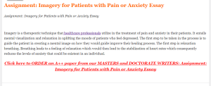 Assignment  Imagery for Patients with Pain or Anxiety Essay