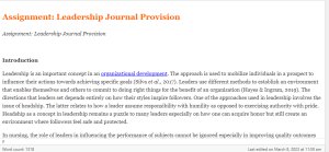 Assignment  Leadership Journal Provision