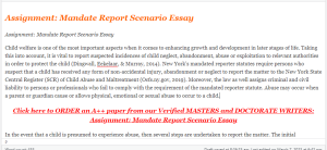 Assignment  Mandate Report Scenario Essay