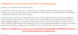 Assignment Nurse Leaders and Career Coaching Essay