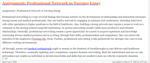 Assignment Professional Network in Nursing Essay