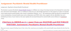 Assignment Psychiatric Mental Health Practitioner