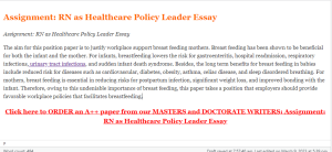 Assignment  RN as Healthcare Policy Leader Essay