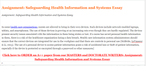Assignment  Safeguarding Health Information and Systems Essay