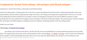 Assignment  Social Networking  Advantages and Disadvantages
