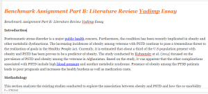 Benchmark Assignment Part B  Literature Review Yadimp Essay