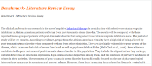 Benchmark- Literature Review Essay