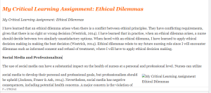 My Critical Learning Assignment Ethical Dilemmas