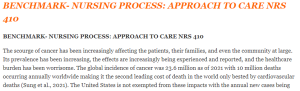 BENCHMARK- NURSING PROCESS APPROACH TO CARE NRS 410