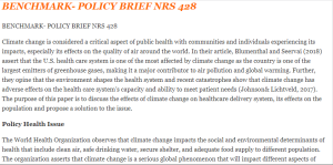 BENCHMARK- POLICY BRIEF NRS 428
