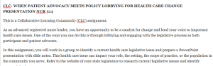 CLC- WHEN PATIENT ADVOCACY MEETS POLICY LOBBYING FOR HEALTH CARE CHANGE PRESENTATION NUR 514