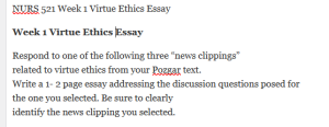 NURS 521 Week 1 Virtue Ethics Essay