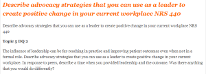 Describe advocacy strategies that you can use as a leader to create positive change in your current workplace NRS 440