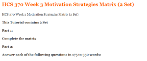 HCS 370 Week 3 Motivation Strategies Matrix (2 Set) 