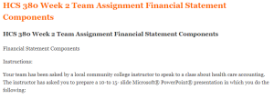 HCS 380 Week 2 Team Assignment Financial Statement Components