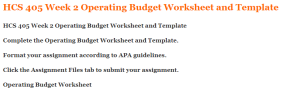 HCS 405 Week 2 Operating Budget Worksheet and Template 