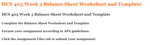 HCS 405 Week 3 Balance Sheet Worksheet and Template