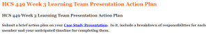 HCS 449 Week 3 Learning Team Presentation Action Plan